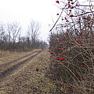 Wabash- Cannonball Trail by Larry Vaughn in Other