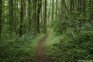 Just South of Dicks Creek Gap