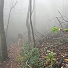 Max Patch to Hot Springs