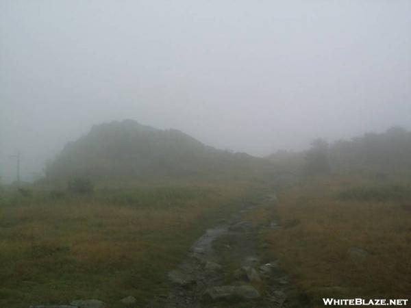 Wilburn Ridge in the fog