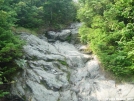 The Long Trail up Camel's Hump