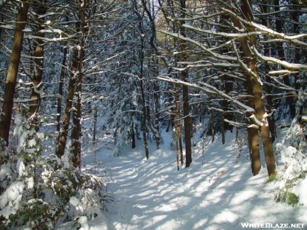 Metacomet-Monadnock Trail