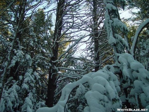 Metacomet-Monadnock Trail