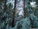 Metacomet-Monadnock Trail by RagingHampster in Views in Massachusetts