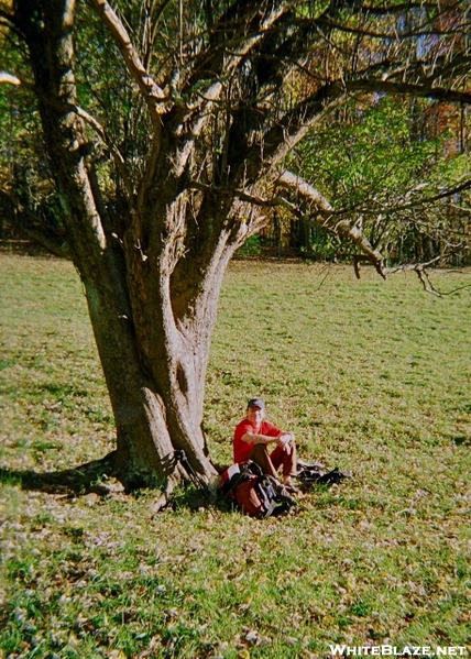 Kerosene At Devil Fork Gap