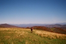 Kerosene Starting North From Max Patch by Kerosene in Section Hikers