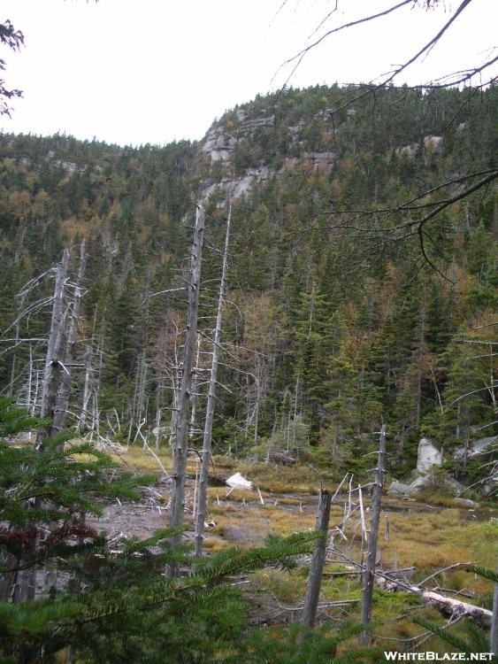 View of Zeacliff from Zeacliff Pond