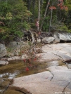 Whitewall Brook, just north of Zealand Hut by Kerosene in Views in New Hampshire