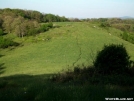 Rice Field by Kerosene in Views in Virginia & West Virginia