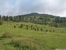 View from Massie Gap