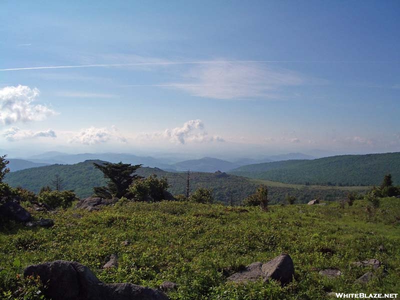 Looking West from Wilburn Ridge