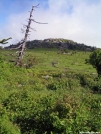 Trail Leading to Rocky Summit