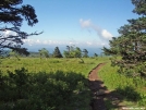 Nice Smooth Trail near Thomas Knob Shelter by Kerosene in Views in Virginia & West Virginia