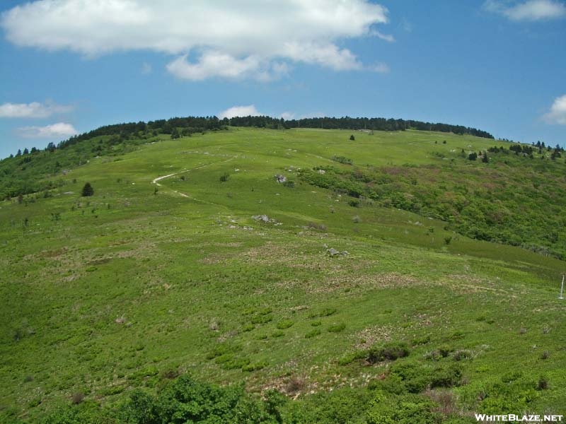 Whitetop Mountain from Buzzard Rock