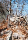 Climbing Dragon's Tooth by Kerosene in Trail & Blazes in Virginia & West Virginia