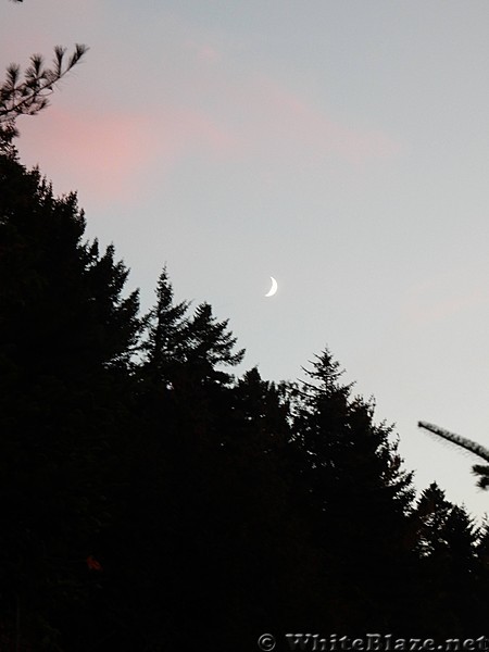 Crescent Moon at East Branch Lean-to