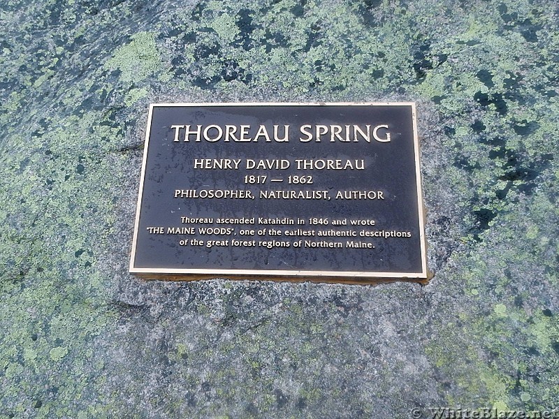 Thoreau Spring Plaque