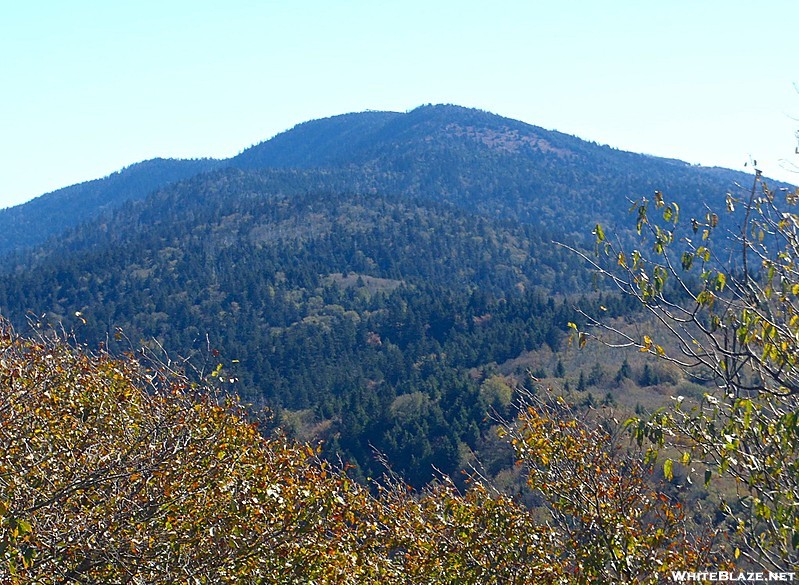 Clingmans Dome Coniferous Forest