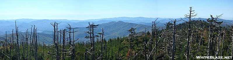 Panorama from Clingmans Dome