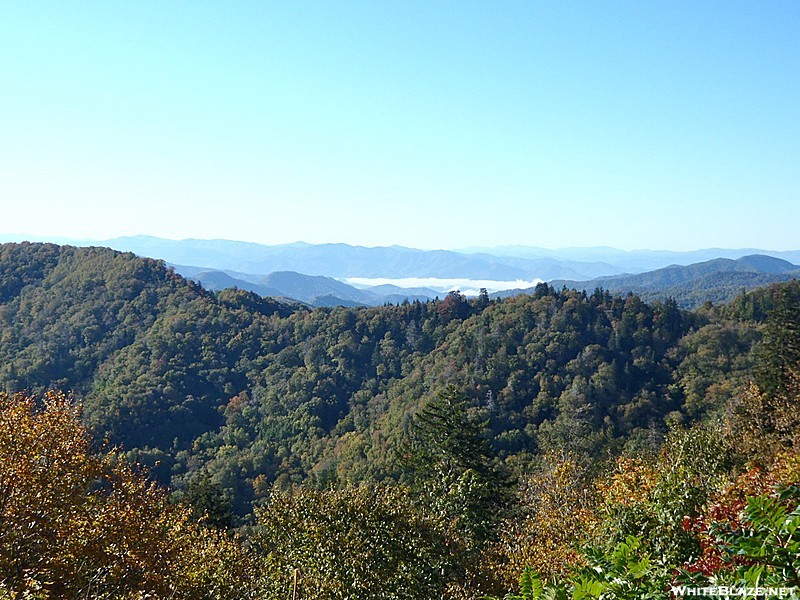 Fog in the Valley