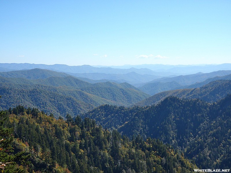 Valleys and Hollows of the Smokies