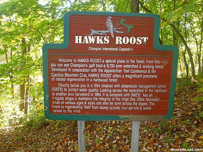 Hawk's Roost