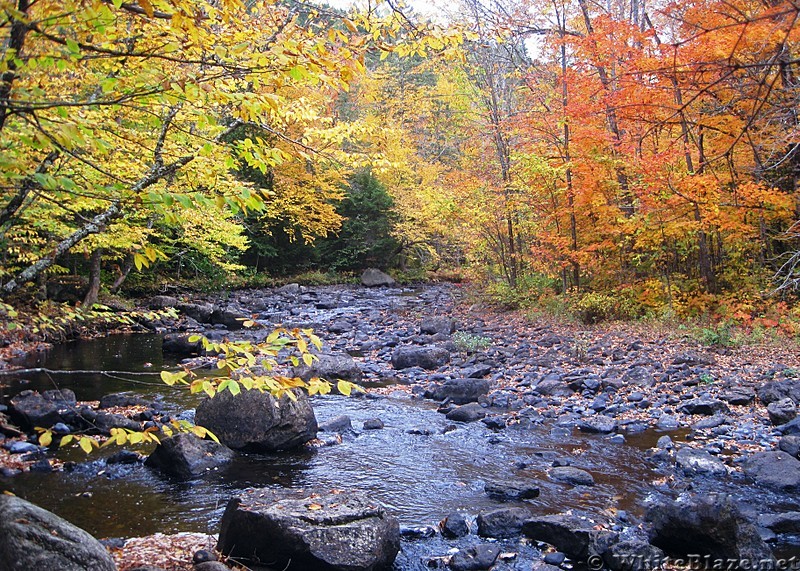 Fall Colors on Pollywog Stream