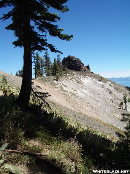 Pct/tahoe Rim Trail Near Barker Pass