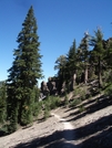 Pct/tahoe Rim Trail Near Barker Pass by Kerosene in Pacific Crest Trail