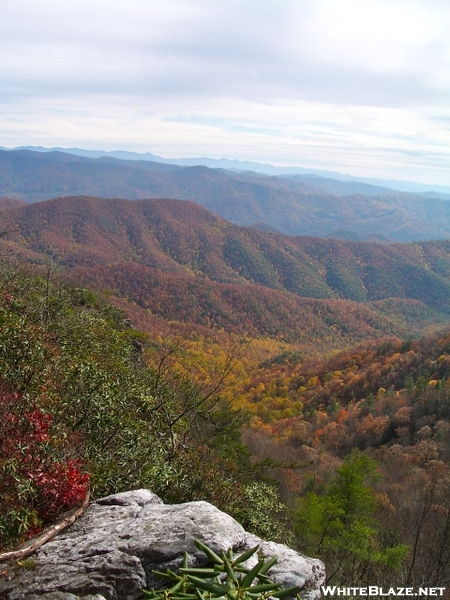 Fall View From White Rock Cliffs