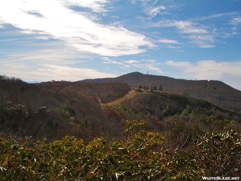 Camp Creek Bald From Blackstack Cliffs