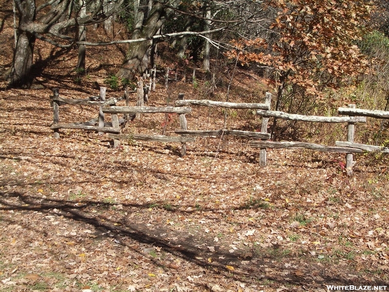 Fenceline North Of Max Patch