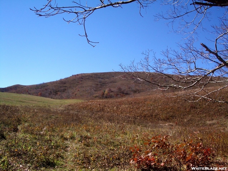 Max Patch From The North