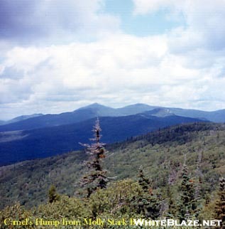 View Of Camels Hump