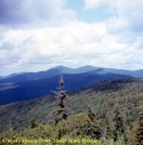 View Of Camels Hump by Kerosene in Long Trail