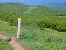 Max Patch by Kerosene in Trail & Blazes in North Carolina & Tennessee