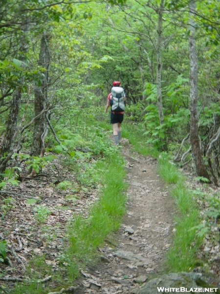 Nantahala National Forest