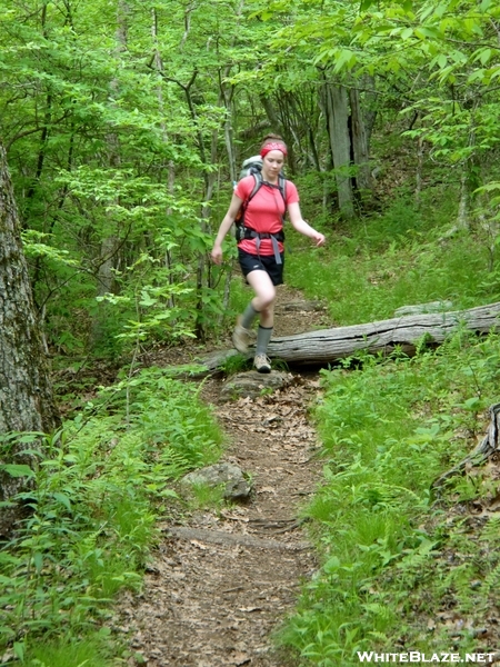 Nantahala National Forest