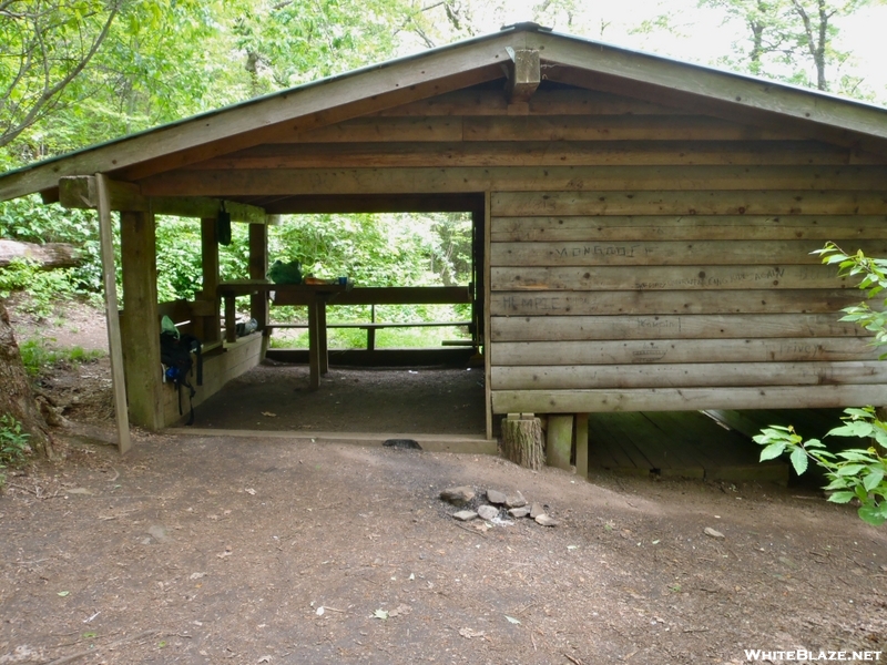 Carter Gap Shelter