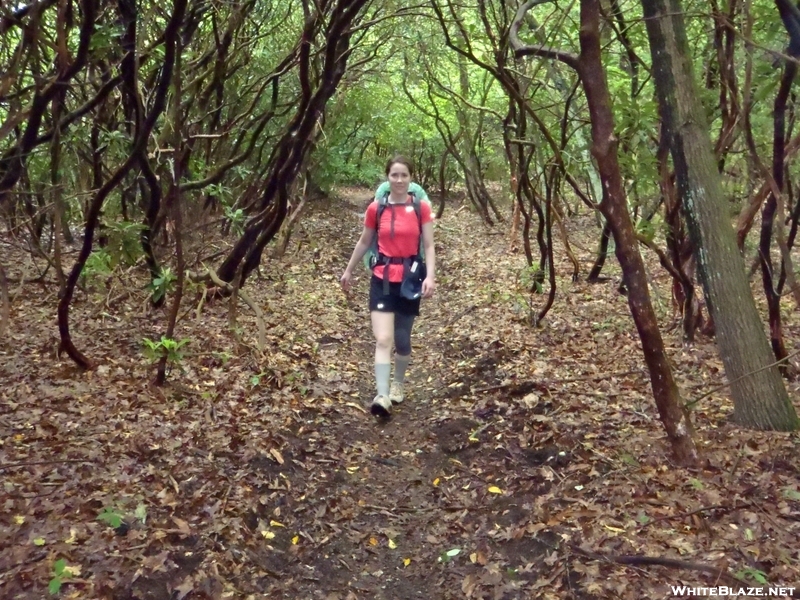 Nantahala National Forest