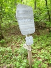 Nantahala National Forest by Kerosene in Sign Gallery