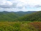 Nantahala National Forest