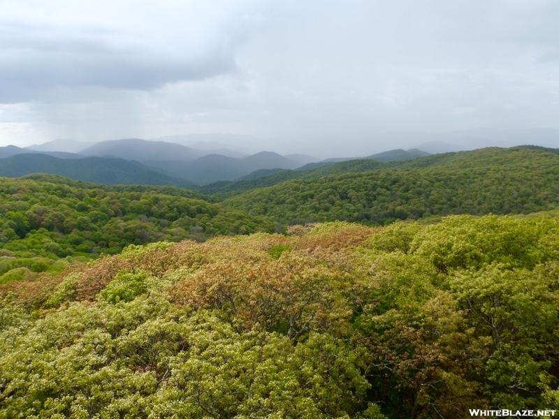 Nantahala National Forest