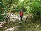 Nantahala National Forest by Kerosene in Section Hikers