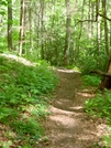 Nantahala National Forest