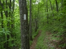 First Hike With Daughter by Kerosene in Trail & Blazes in North Carolina & Tennessee