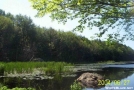Pond North of Warwick Turnpike
