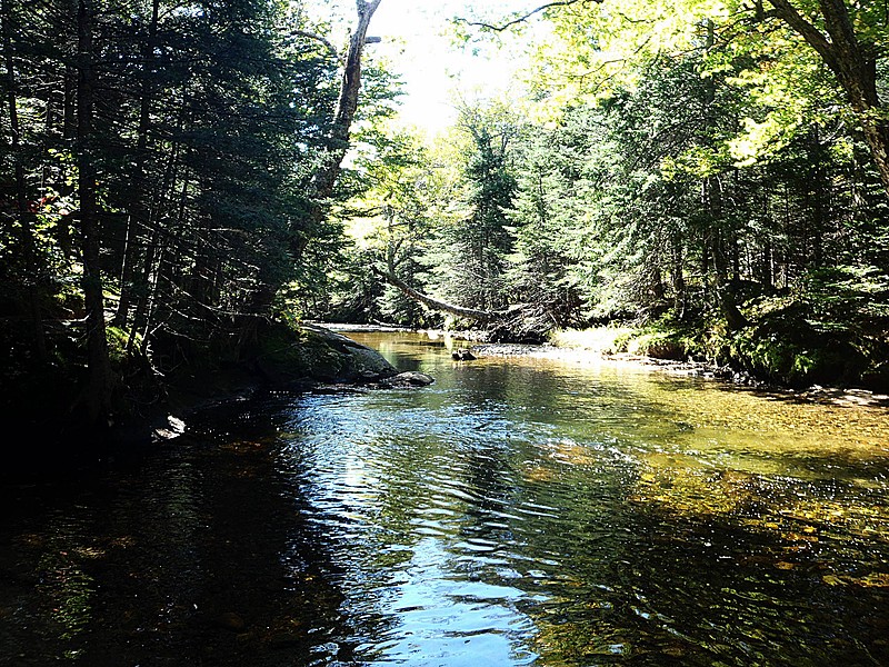 Lost Pond Creek