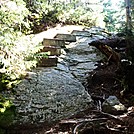 Stairs up Wildcat by Kerosene in Views in New Hampshire