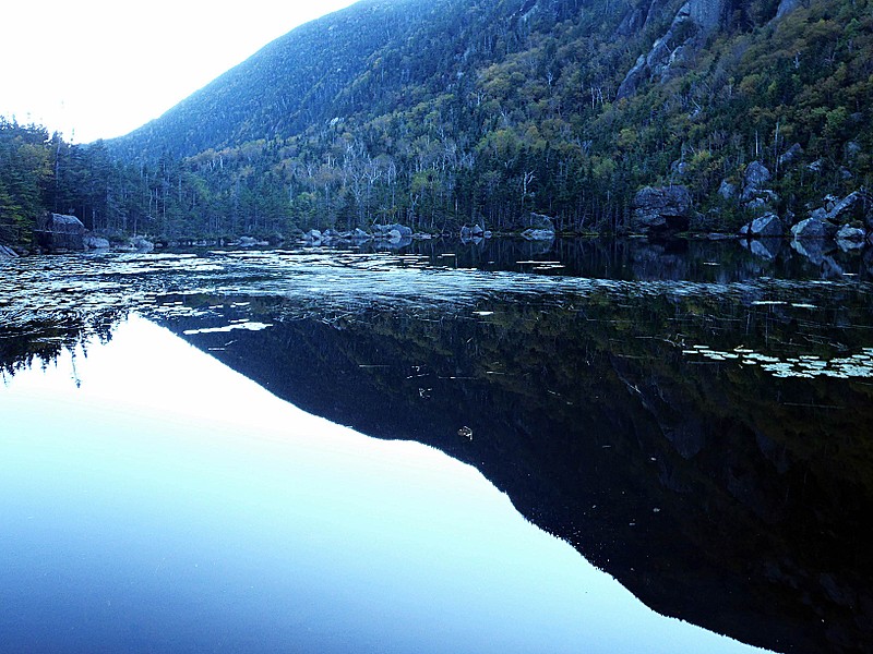 Carter Pond Reflecting Wildcat